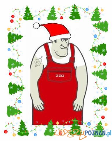 zzo choinki Foto: ZZO Poznań zzo choinki Foto: ZZO Poznań