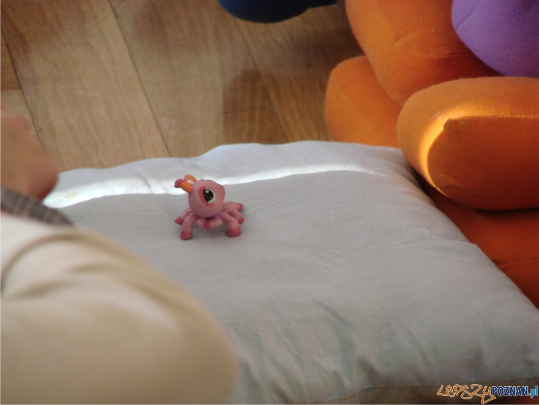 Takich słuchaczy również zauważyliśmy na poduszkach Foto: Takich słuchaczy również zauważyliśmy na poduszkach Foto: