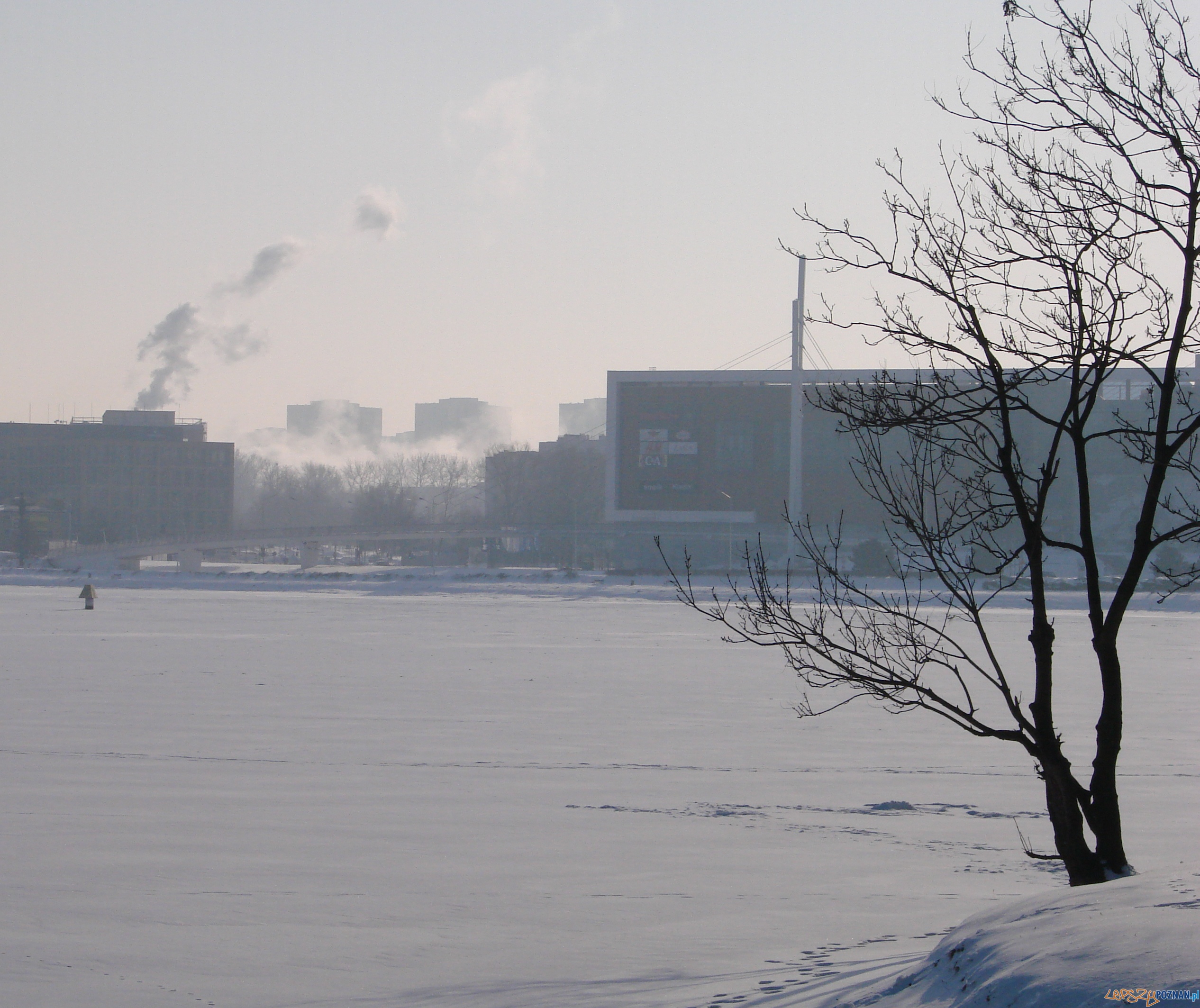 Malta i Galeria Malta  Foto: 