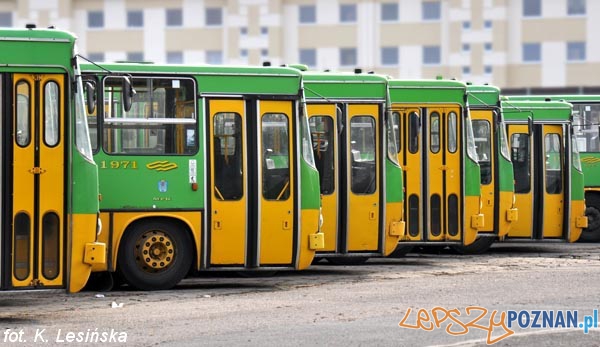 Ikarusy Foto: MPK / K. Lesińska Ikarusy Foto: MPK / K. Lesińska
