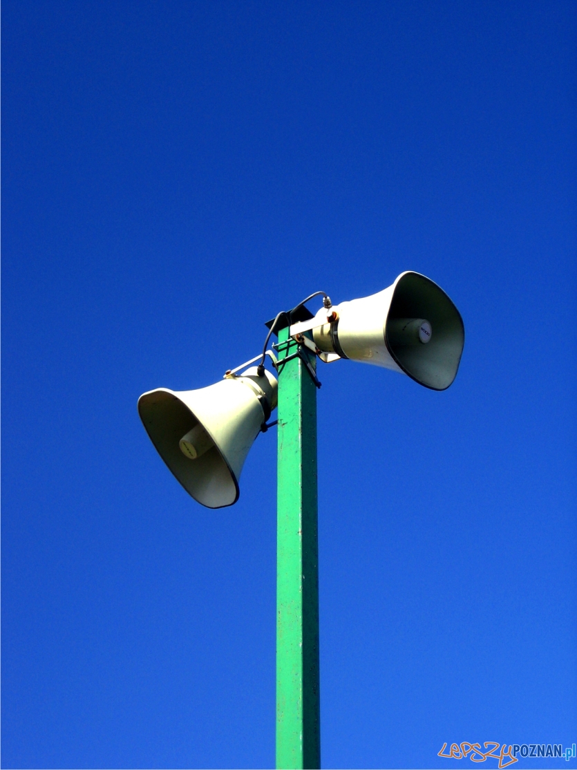 syreny Foto: sxc syreny Foto: sxc