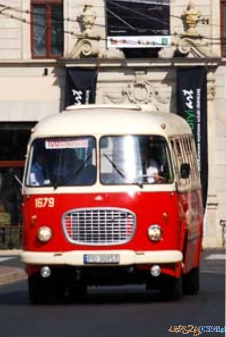 foto: MPK R. Bartkowiak - ogórek  Foto: 