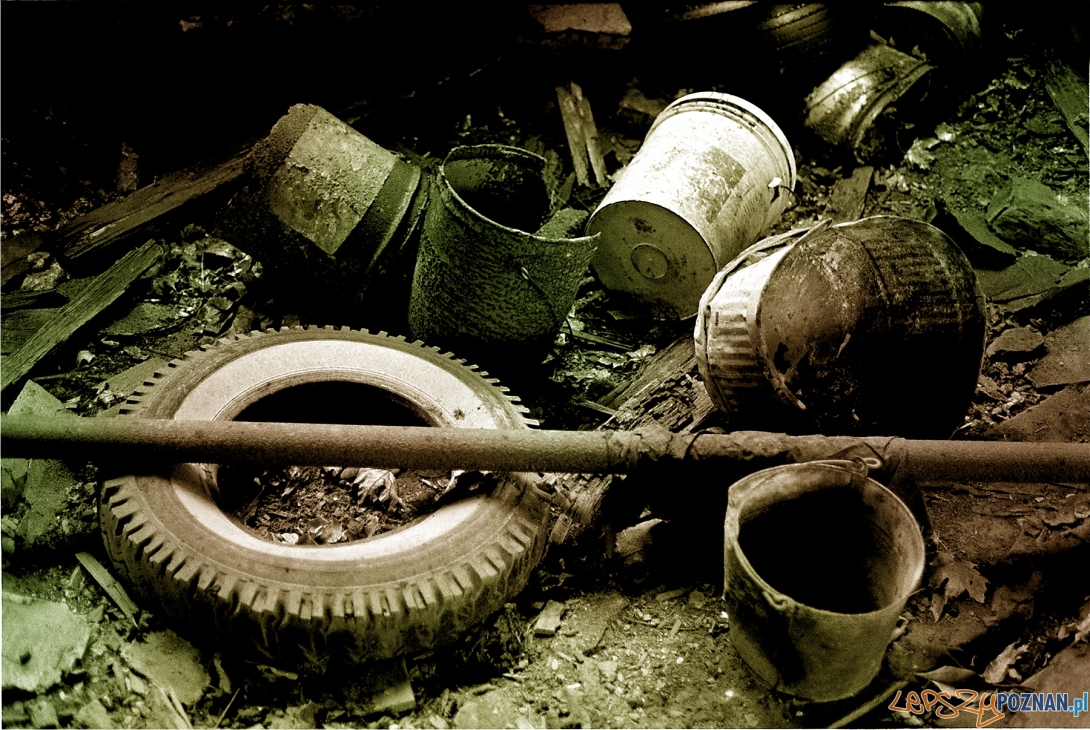 śmieci Foto: sxc śmieci Foto: sxc