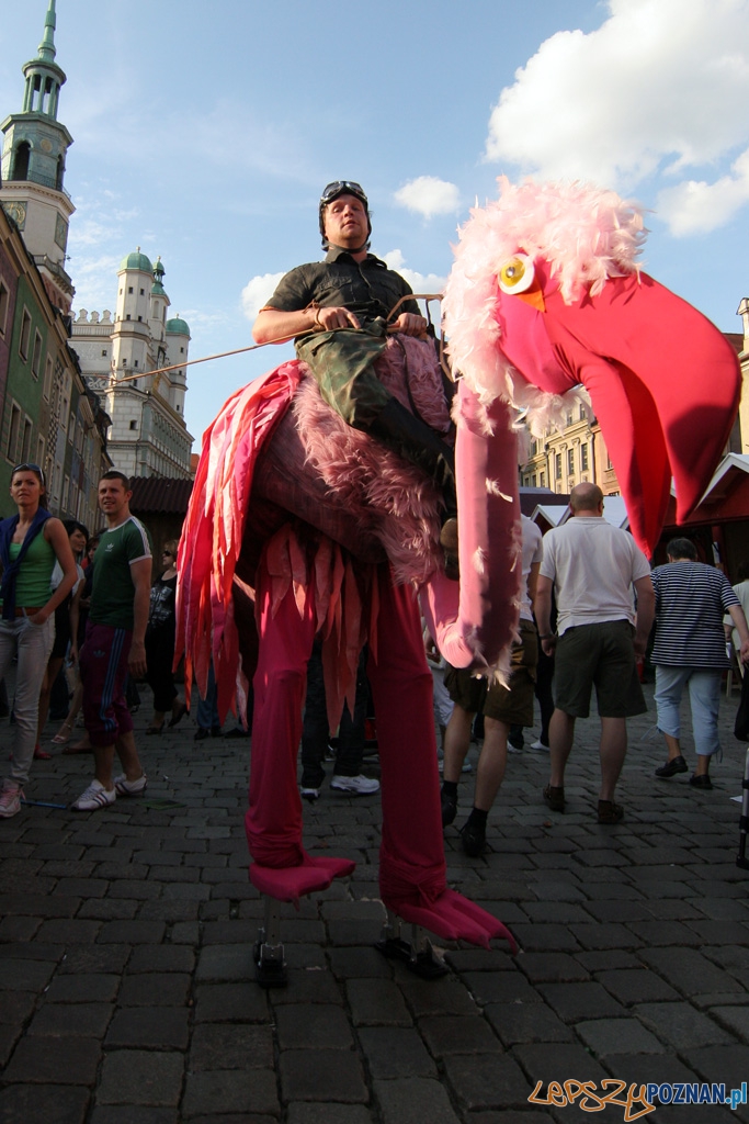 XXXV Jarmark Świetojański - 5.06.2010 r.  Foto: lepszyPOZNAN.pl / Piotr Rychter