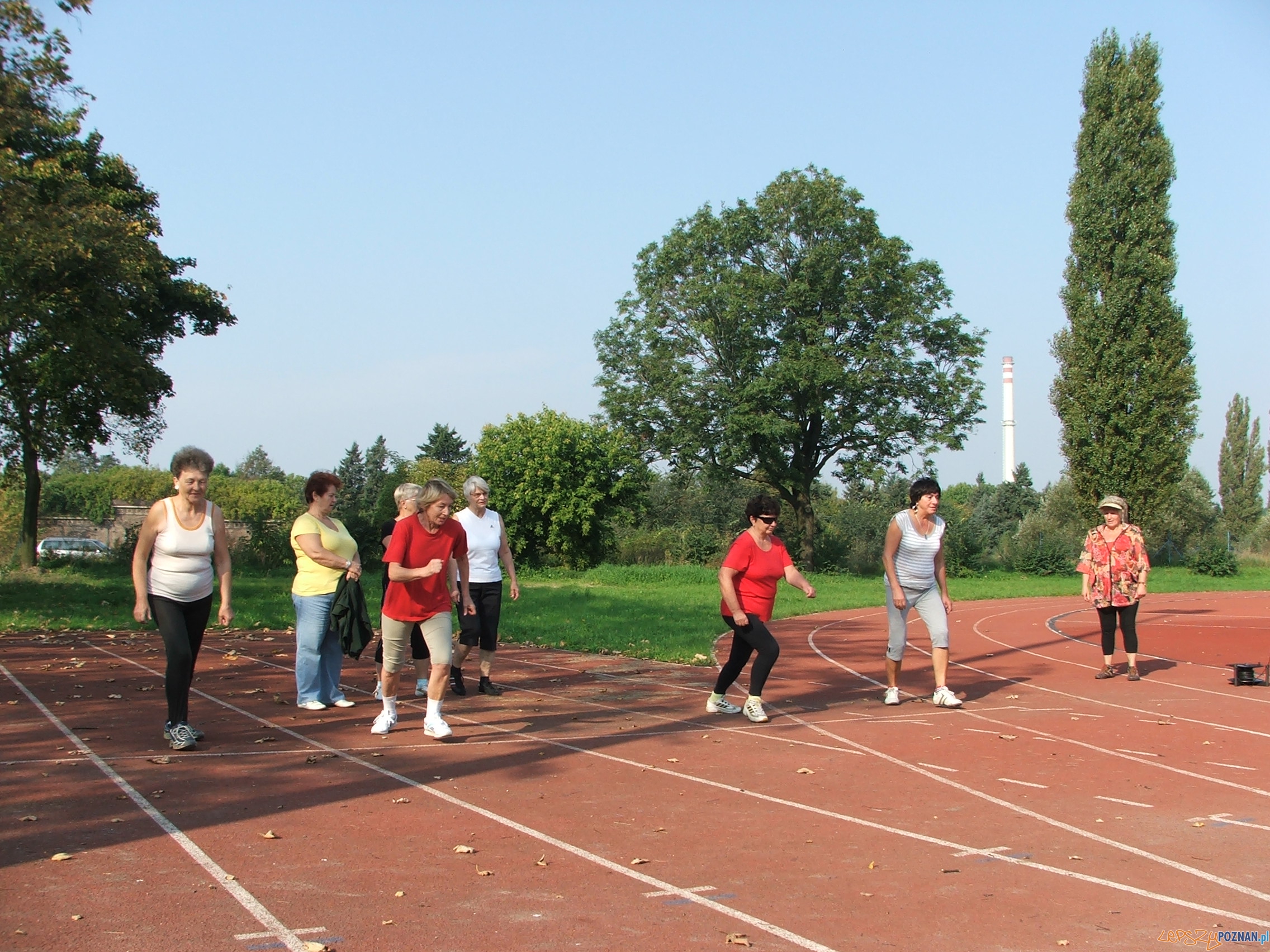 V Poznańska Spartakiada Seniorów  Foto: POSiR