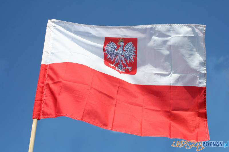 kibice w poznaniu  Foto: sxc