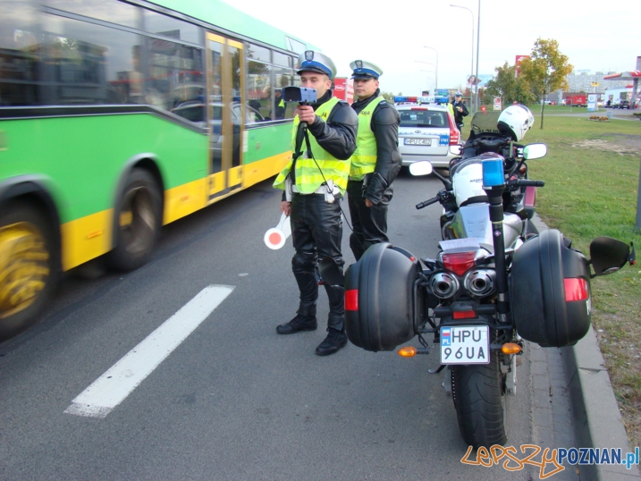 Akcja ZERO TOLERANCJI Foto: KWP POZNAŃ Akcja ZERO TOLERANCJI Foto: KWP POZNAŃ