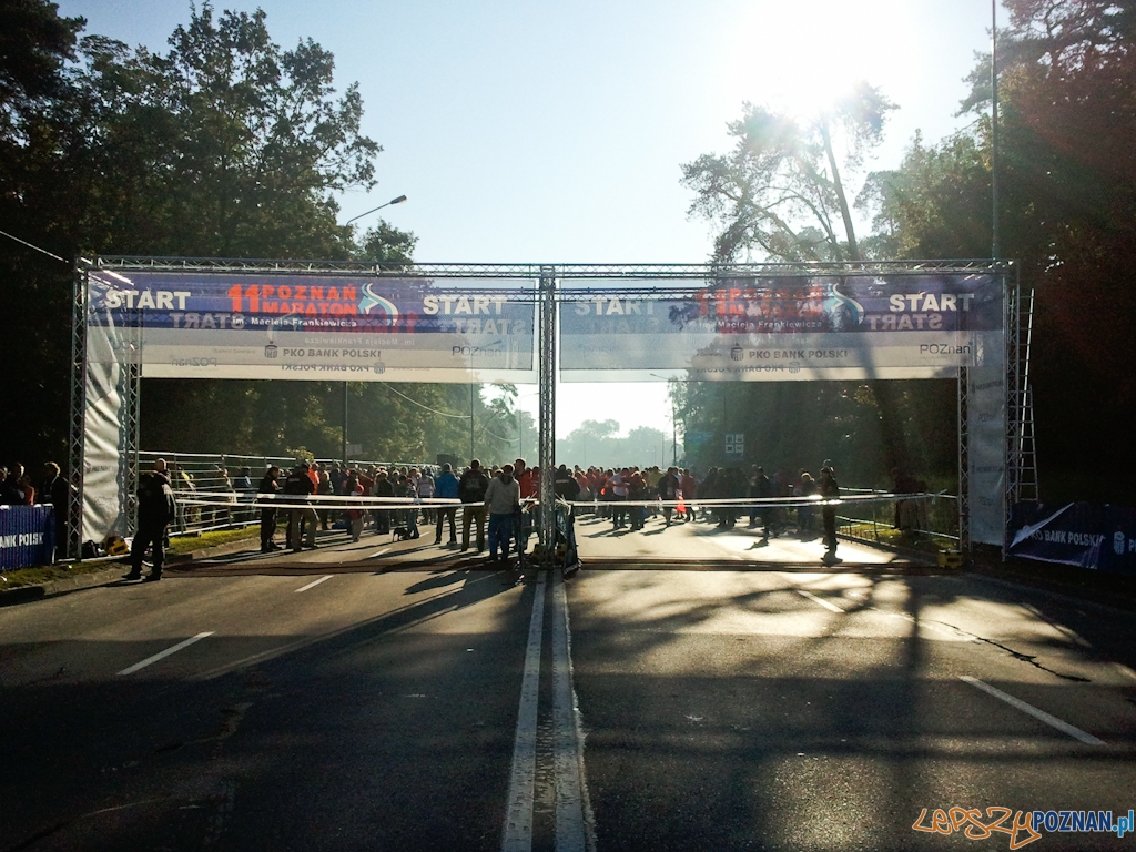 11. Poznań Maraton - Poznań 10.10.2010 r. Foto: Piotr Rychter 11. Poznań Maraton - Poznań 10.10.2010 r. Foto: Piotr Rychter