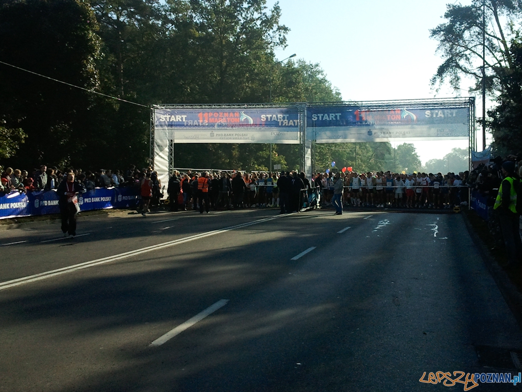 11. Poznań Maraton - Poznań 10.10.2010 r. Foto: Piotr Rychter 11. Poznań Maraton - Poznań 10.10.2010 r. Foto: Piotr Rychter
