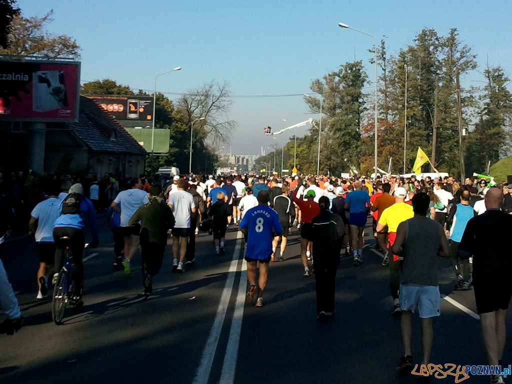 11. Poznań Maraton - Poznań 10.10.2010 r. Foto: Piotr Rychter 11. Poznań Maraton - Poznań 10.10.2010 r. Foto: Piotr Rychter
