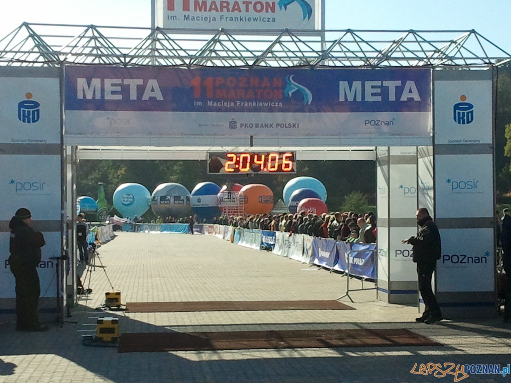 11. Poznań Maraton - Poznań 10.10.2010 r. Foto: Piotr Rychter 11. Poznań Maraton - Poznań 10.10.2010 r. Foto: Piotr Rychter