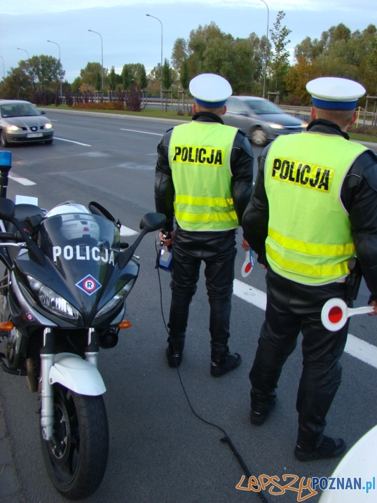Akcja ZERO TOLERANCJI Foto: KWP POZNAŃ Akcja ZERO TOLERANCJI Foto: KWP POZNAŃ