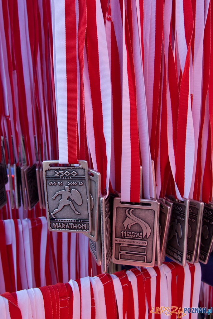 11 poznań Maraton - 10.10.2010 r. Foto: Piotr Rychter 11 poznań Maraton - 10.10.2010 r. Foto: Piotr Rychter