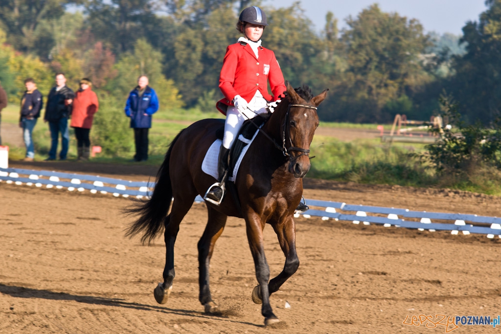 Ostatni dzień Mistrzostw Na Hipodromie Wola Foto: Piotr Rychter Ostatni dzień Mistrzostw Na Hipodromie Wola Foto: Piotr Rychter