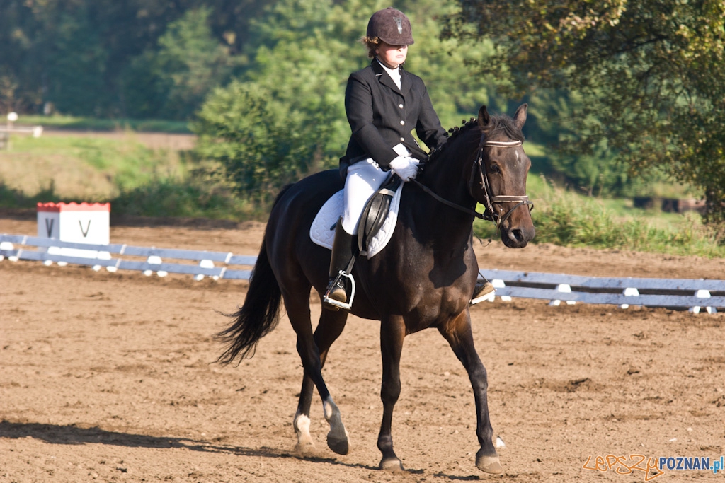 Ostatni dzień Mistrzostw Na Hipodromie Wola Foto: Piotr Rychter Ostatni dzień Mistrzostw Na Hipodromie Wola Foto: Piotr Rychter