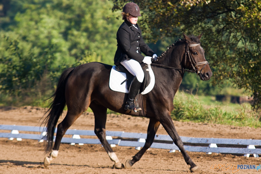 Ostatni dzień Mistrzostw Na Hipodromie Wola Foto: Piotr Rychter Ostatni dzień Mistrzostw Na Hipodromie Wola Foto: Piotr Rychter