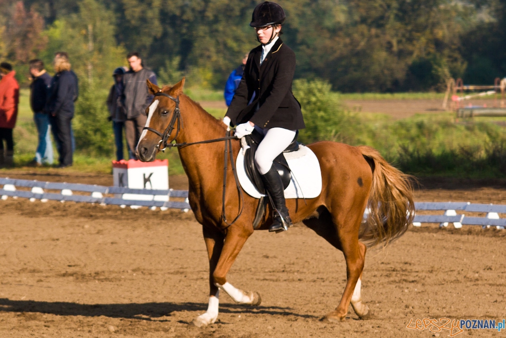 Ostatni dzień Mistrzostw Na Hipodromie Wola Foto: Piotr Rychter Ostatni dzień Mistrzostw Na Hipodromie Wola Foto: Piotr Rychter