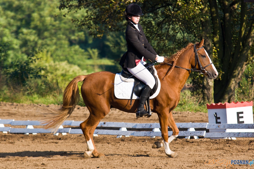 Ostatni dzień Mistrzostw Na Hipodromie Wola Foto: Piotr Rychter Ostatni dzień Mistrzostw Na Hipodromie Wola Foto: Piotr Rychter