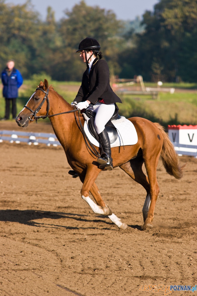 Ostatni dzień Mistrzostw Na Hipodromie Wola Foto: Piotr Rychter Ostatni dzień Mistrzostw Na Hipodromie Wola Foto: Piotr Rychter