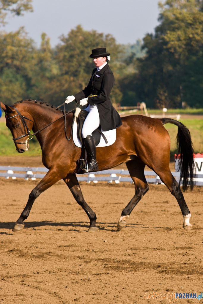 Ostatni dzień Mistrzostw Na Hipodromie Wola Foto: Piotr Rychter Ostatni dzień Mistrzostw Na Hipodromie Wola Foto: Piotr Rychter