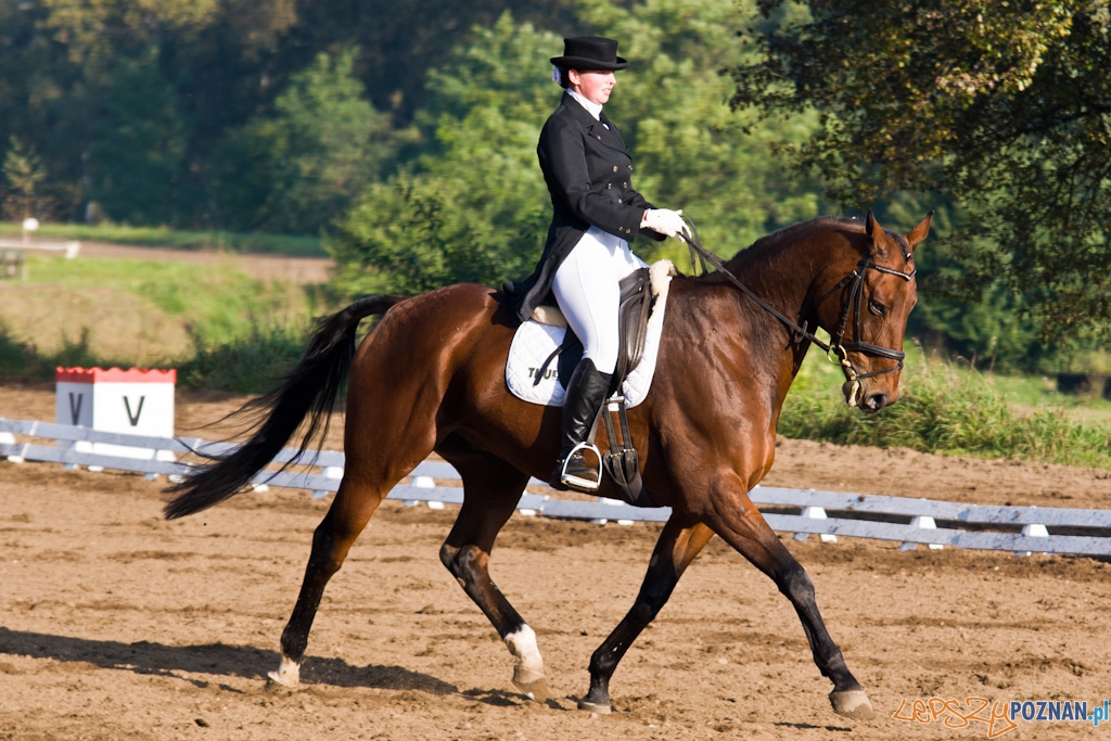 Ostatni dzień Mistrzostw Na Hipodromie Wola Foto: Piotr Rychter Ostatni dzień Mistrzostw Na Hipodromie Wola Foto: Piotr Rychter