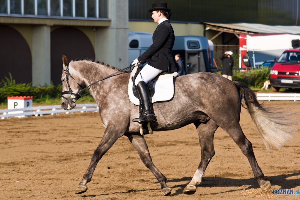 Ostatni dzień Mistrzostw Na Hipodromie Wola Foto: Piotr Rychter Ostatni dzień Mistrzostw Na Hipodromie Wola Foto: Piotr Rychter