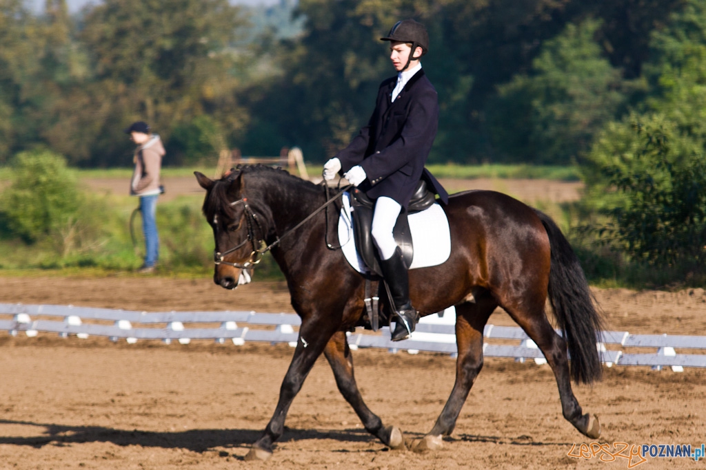 Ostatni dzień Mistrzostw Na Hipodromie Wola Foto: Piotr Rychter Ostatni dzień Mistrzostw Na Hipodromie Wola Foto: Piotr Rychter