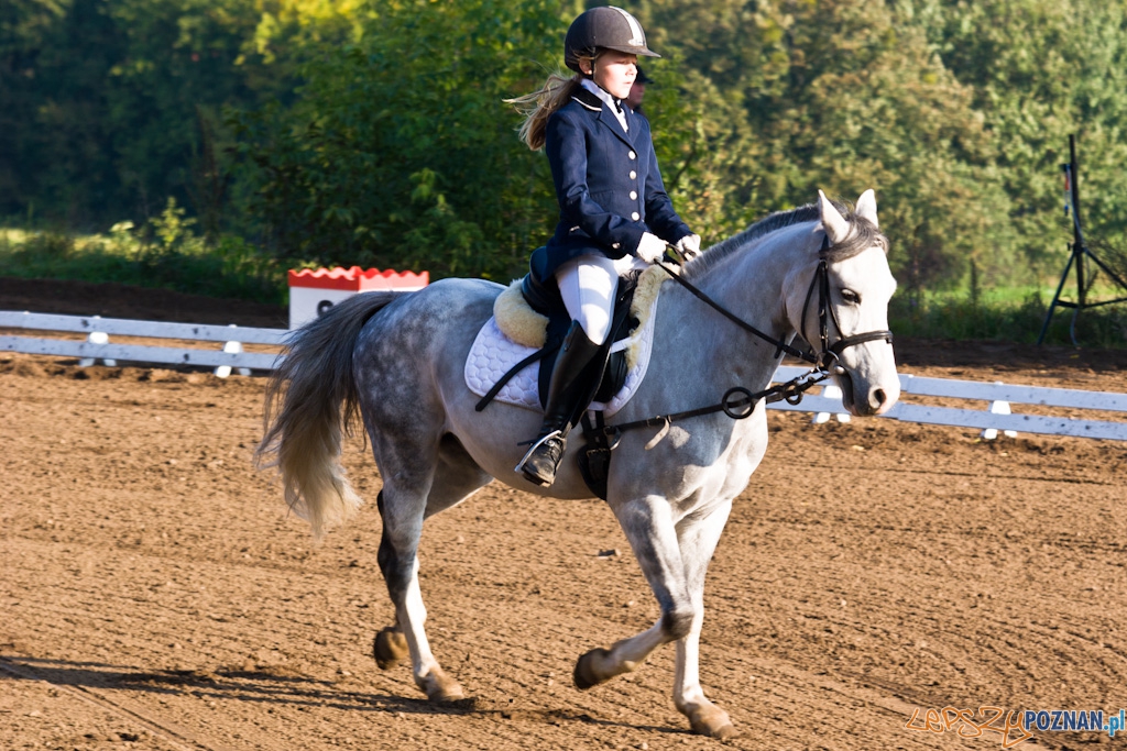 Ostatni dzień Mistrzostw Na Hipodromie Wola Foto: Piotr Rychter Ostatni dzień Mistrzostw Na Hipodromie Wola Foto: Piotr Rychter