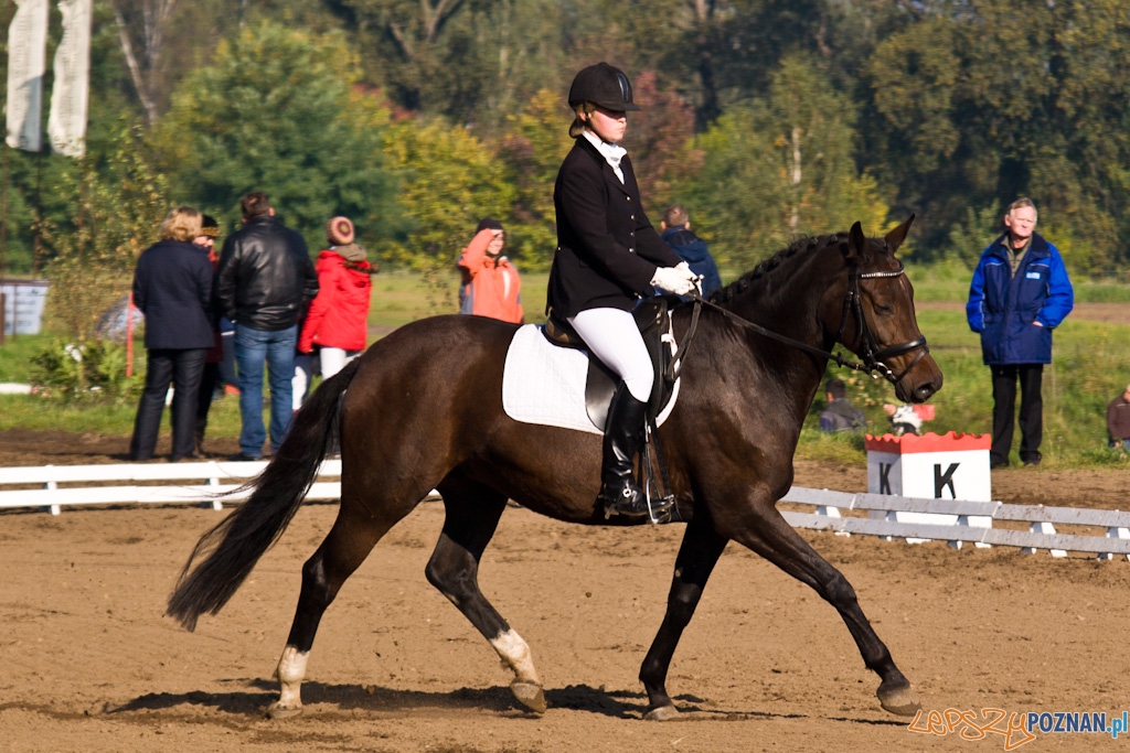 Ostatni dzień Mistrzostw Na Hipodromie Wola Foto: Piotr Rychter Ostatni dzień Mistrzostw Na Hipodromie Wola Foto: Piotr Rychter