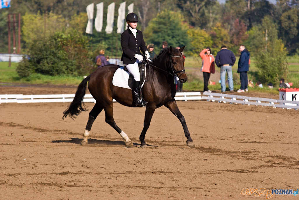 Ostatni dzień Mistrzostw Na Hipodromie Wola Foto: Piotr Rychter Ostatni dzień Mistrzostw Na Hipodromie Wola Foto: Piotr Rychter