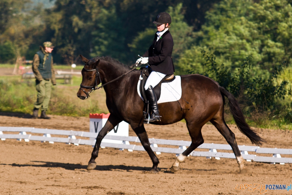 Ostatni dzień Mistrzostw Na Hipodromie Wola Foto: Piotr Rychter Ostatni dzień Mistrzostw Na Hipodromie Wola Foto: Piotr Rychter