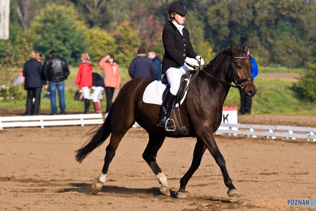 Ostatni dzień Mistrzostw Na Hipodromie Wola Foto: Piotr Rychter Ostatni dzień Mistrzostw Na Hipodromie Wola Foto: Piotr Rychter