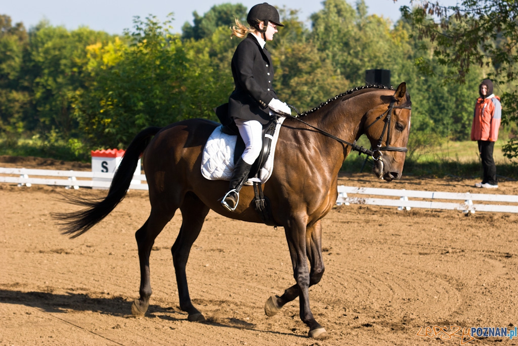Ostatni dzień Mistrzostw Na Hipodromie Wola Foto: Piotr Rychter Ostatni dzień Mistrzostw Na Hipodromie Wola Foto: Piotr Rychter