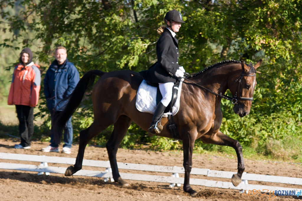 Ostatni dzień Mistrzostw Na Hipodromie Wola Foto: Piotr Rychter Ostatni dzień Mistrzostw Na Hipodromie Wola Foto: Piotr Rychter