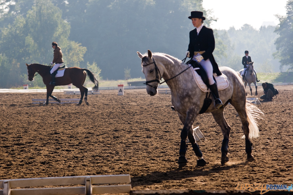 Ostatni dzień Mistrzostw Na Hipodromie Wola Foto: Piotr Rychter Ostatni dzień Mistrzostw Na Hipodromie Wola Foto: Piotr Rychter