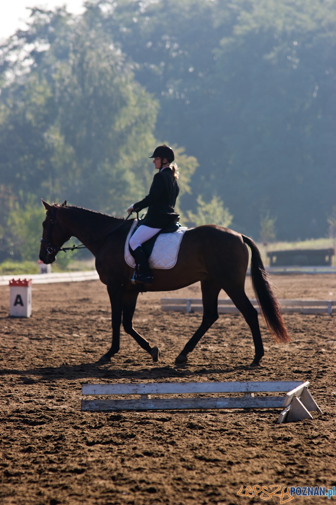 Ostatni dzień Mistrzostw Na Hipodromie Wola Foto: Piotr Rychter Ostatni dzień Mistrzostw Na Hipodromie Wola Foto: Piotr Rychter