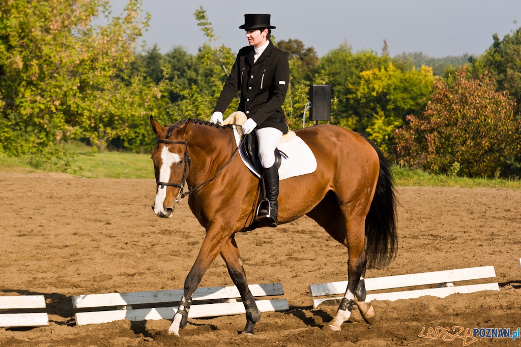 Ostatni dzień Mistrzostw Na Hipodromie Wola Foto: Piotr Rychter Ostatni dzień Mistrzostw Na Hipodromie Wola Foto: Piotr Rychter