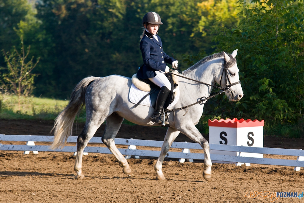 Ostatni dzień Mistrzostw Na Hipodromie Wola Foto: Piotr Rychter Ostatni dzień Mistrzostw Na Hipodromie Wola Foto: Piotr Rychter