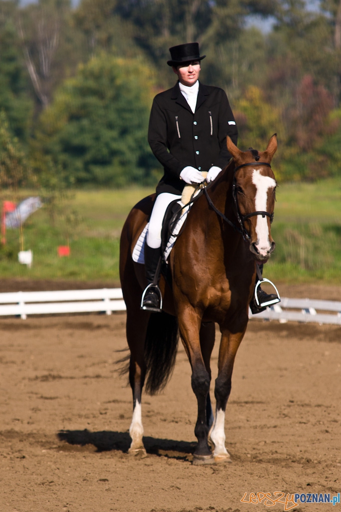 Ostatni dzień Mistrzostw Na Hipodromie Wola Foto: Piotr Rychter Ostatni dzień Mistrzostw Na Hipodromie Wola Foto: Piotr Rychter