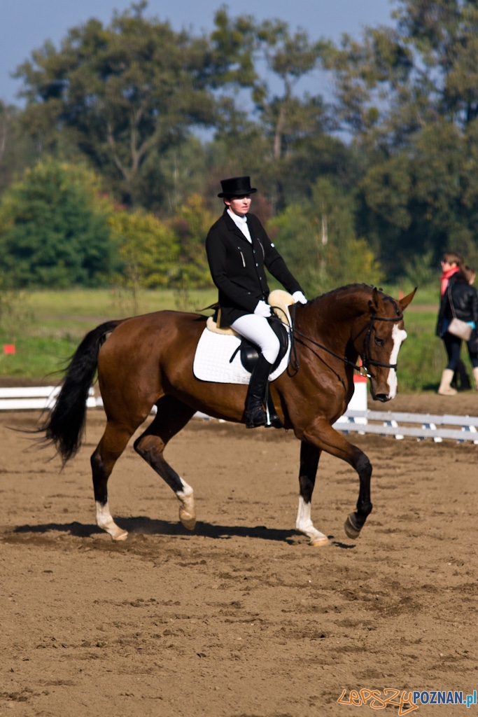 Ostatni dzień Mistrzostw Na Hipodromie Wola Foto: Piotr Rychter Ostatni dzień Mistrzostw Na Hipodromie Wola Foto: Piotr Rychter
