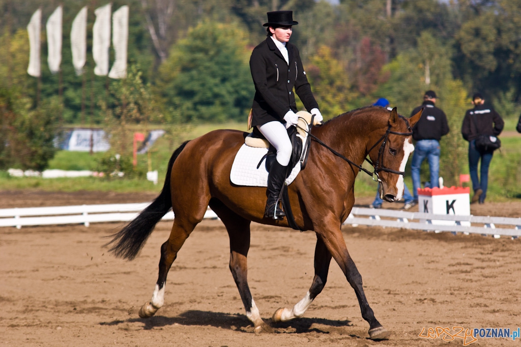 Ostatni dzień Mistrzostw Na Hipodromie Wola Foto: Piotr Rychter Ostatni dzień Mistrzostw Na Hipodromie Wola Foto: Piotr Rychter