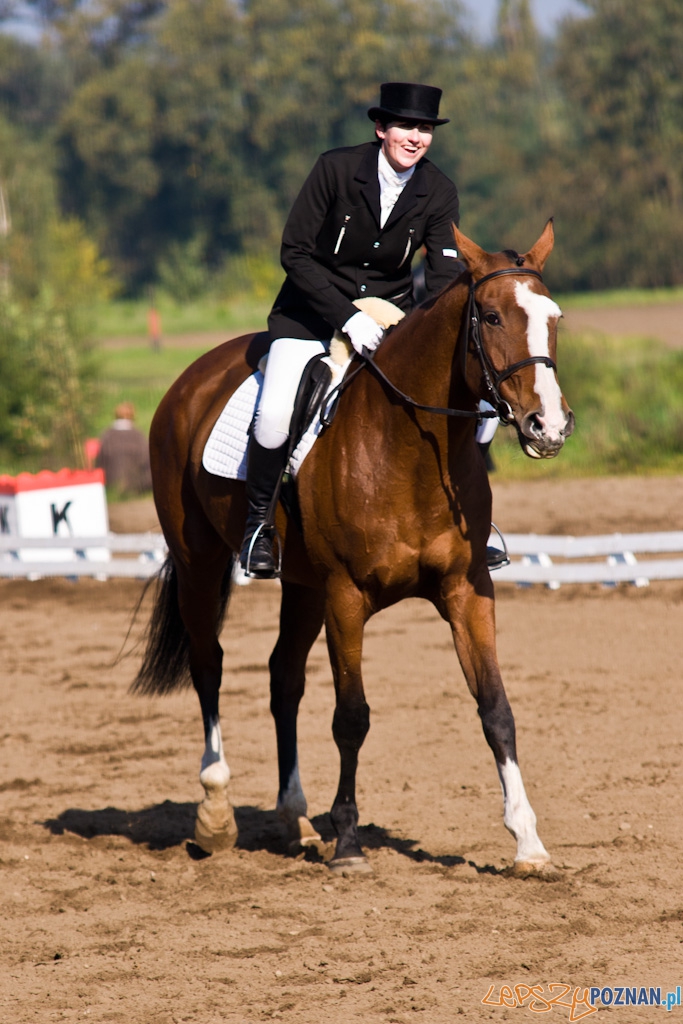 Ostatni dzień Mistrzostw Na Hipodromie Wola Foto: Piotr Rychter Ostatni dzień Mistrzostw Na Hipodromie Wola Foto: Piotr Rychter
