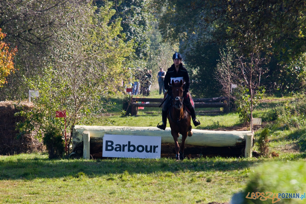 Ostatni dzień Mistrzostw Na Hipodromie Wola Foto: Piotr Rychter Ostatni dzień Mistrzostw Na Hipodromie Wola Foto: Piotr Rychter