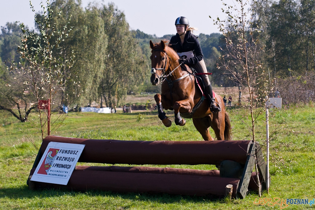 Ostatni dzień Mistrzostw Na Hipodromie Wola Foto: Piotr Rychter Ostatni dzień Mistrzostw Na Hipodromie Wola Foto: Piotr Rychter