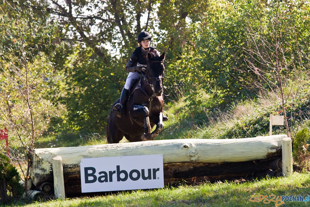 Ostatni dzień Mistrzostw Na Hipodromie Wola Foto: Piotr Rychter Ostatni dzień Mistrzostw Na Hipodromie Wola Foto: Piotr Rychter