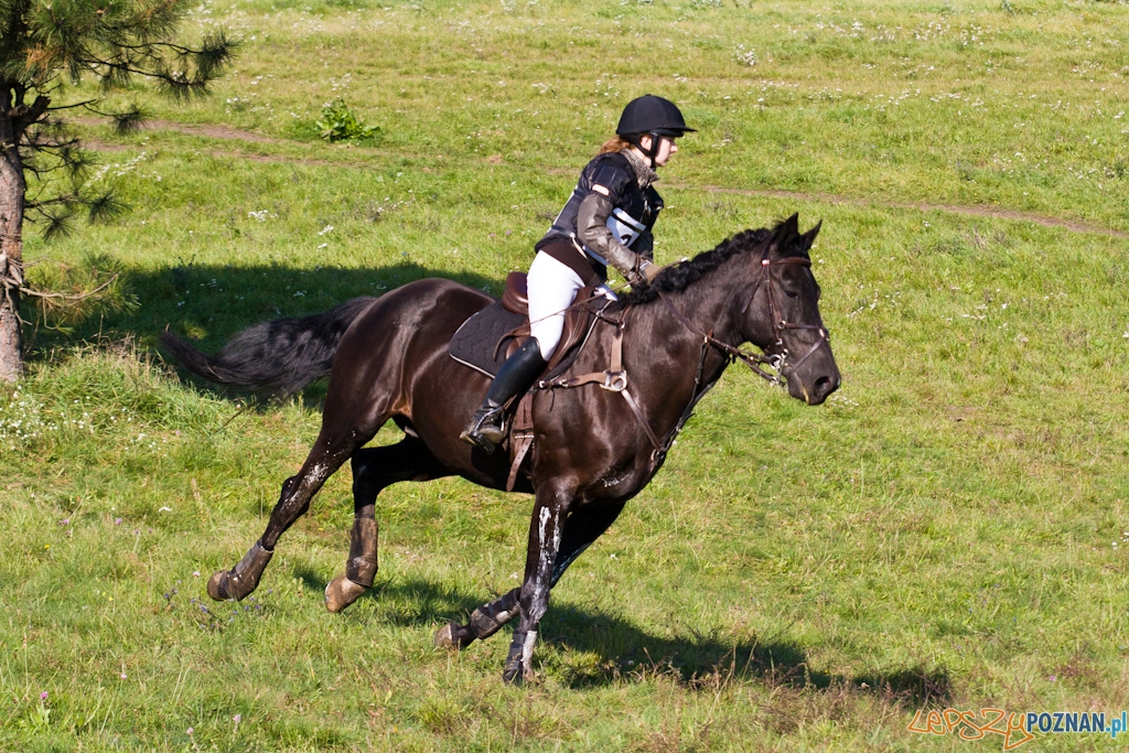 Ostatni dzień Mistrzostw Na Hipodromie Wola Foto: Piotr Rychter Ostatni dzień Mistrzostw Na Hipodromie Wola Foto: Piotr Rychter