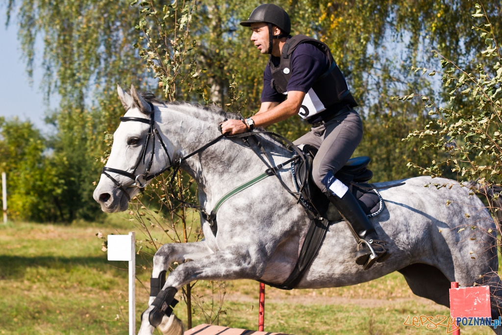 Ostatni dzień Mistrzostw Na Hipodromie Wola Foto: Piotr Rychter Ostatni dzień Mistrzostw Na Hipodromie Wola Foto: Piotr Rychter