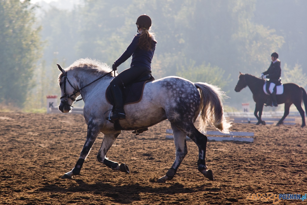 Ostatni dzień Mistrzostw Na Hipodromie Wola Foto: Piotr Rychter Ostatni dzień Mistrzostw Na Hipodromie Wola Foto: Piotr Rychter