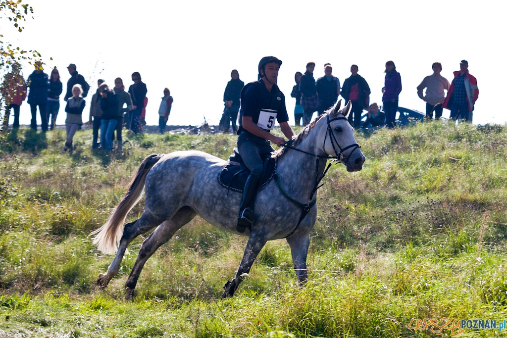 Ostatni dzień Mistrzostw Na Hipodromie Wola Foto: Piotr Rychter Ostatni dzień Mistrzostw Na Hipodromie Wola Foto: Piotr Rychter