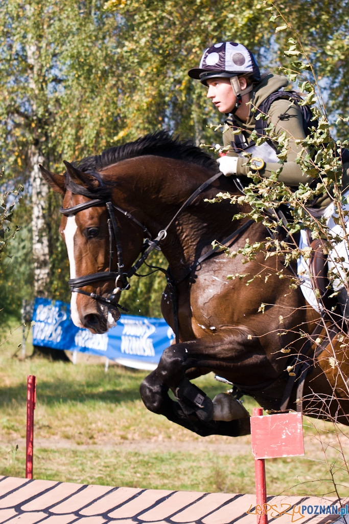Ostatni dzień Mistrzostw Na Hipodromie Wola Foto: Piotr Rychter Ostatni dzień Mistrzostw Na Hipodromie Wola Foto: Piotr Rychter